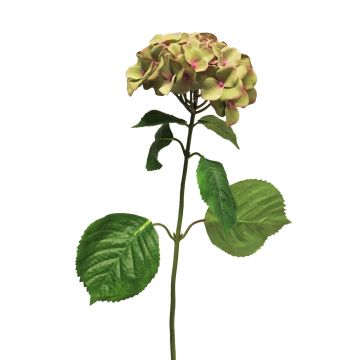 Umělá květina hortenzie MEITAO, zelená-růžová, 70cm