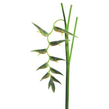 Umělý květ helikónie JIANG, tmavě zelená, 130cm
