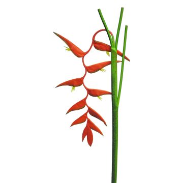 Umělý květ helikónie JIANG, červená, 130cm