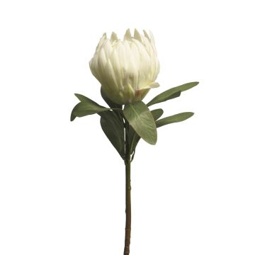 Dekorativní květina protea JIAHUI, bílá, 70cm