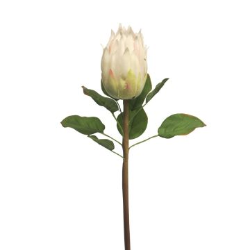 Umělá protea SHUHUI, bílá, 60cm