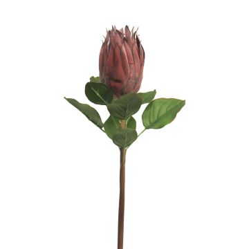 Umělá protea SHUHUI, červená, 60cm