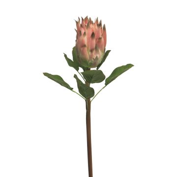 Umělá protea SHUHUI, růžová, 60cm