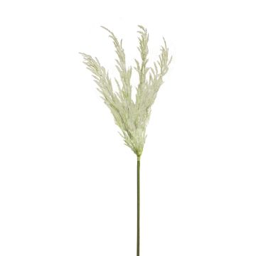 Dekorativní pampová tráva s laty ANNING, bílá, 100cm