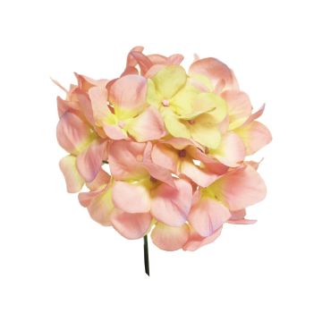 Dekorativní květina hortenzie FUHUA, růžovo-krémová, 25cm