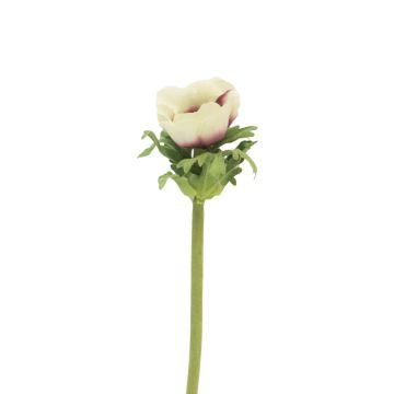 Umělá květina sasanka BOYANG, krémově fialová, 35cm