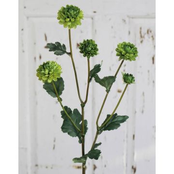 Umělá chryzantéma RYON, zelená, 70cm, Ø3-5cm