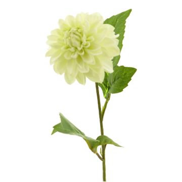 Umělá květina jiřina WANRU, krémová, 50cm
