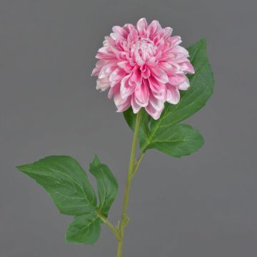 Umělá květina jiřina WANRU, růžová-růžová, 50cm