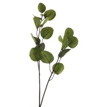 Dekorační větev eukalyptu AOSHAN, zelená, 80cm