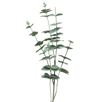 Umělá větev eukalyptus FENYU, zelenobílá, 90cm