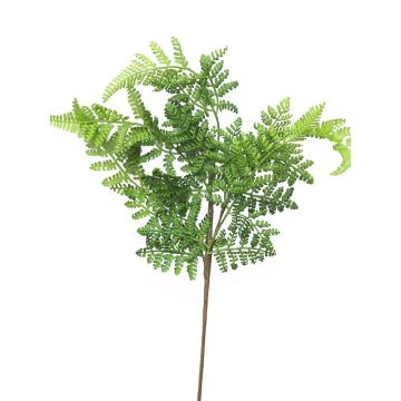 Deco větvička kapradiny XINTIAN, zelená, 55cm