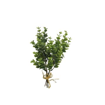 Dekorační svazek eukalyptu YANCHEN, zelený, 25cm