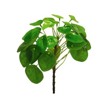 Umělá rostlina pilea pepřincová JINKAI, zástrčka stonku, zelená, 23cm