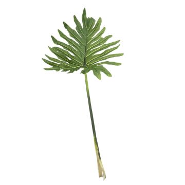 Deko list filodendron selloum KAIBO, 90cm