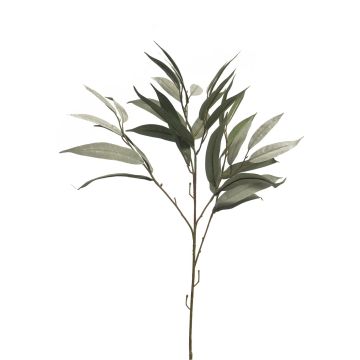 Dekorativní větev mango WENLIAN, zeleno-šedá, 75cm