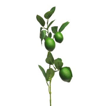 Dekorativní větev limetka XIALIN s plody, zelená, 75cm