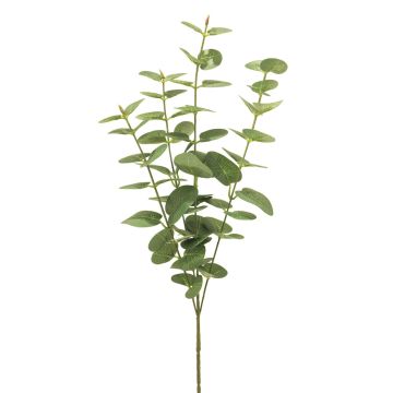 Umělá větev eukalyptu MINJIA, zelená, 65cm