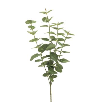 Umělá větev eukalyptu MINJIA, zeleno-šedá, 65cm