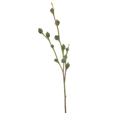 Umělá větev eukalyptu SHANSHAN s plody, zelená, 60cm