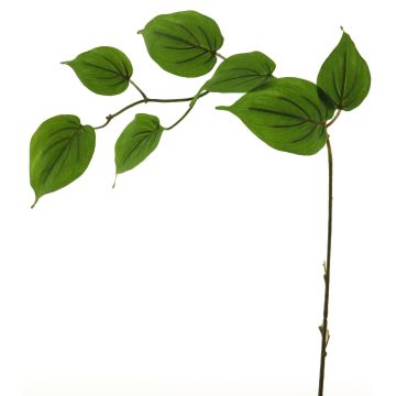 Deco větvička dřínu SHUNNAN, zelená, 75cm