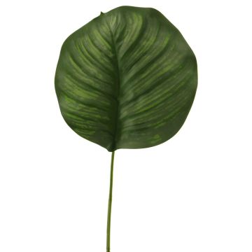 Umělý list modlivky ZICHEN, zelená, 65cm