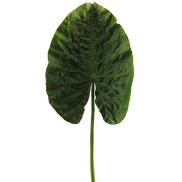 Umělý list alocasia sanderiana HAOYUE, zelená, 75cm