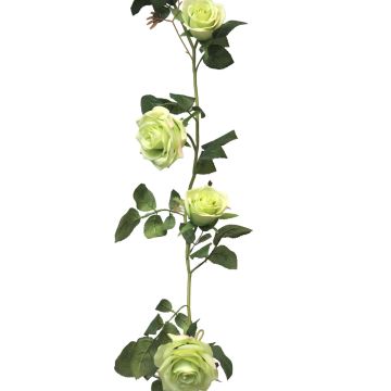 Umělá girlanda z ruží KAILIN, světle zelená, 145cm