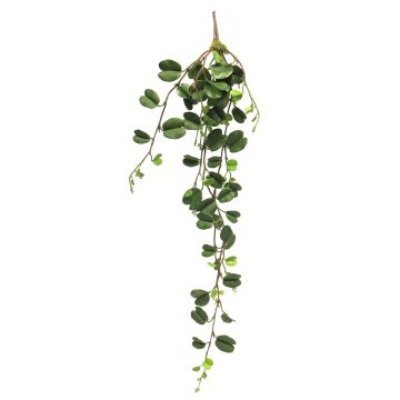 Dekorativní rostlina voskovka XIANHUI, zápich, zelená, 100cm