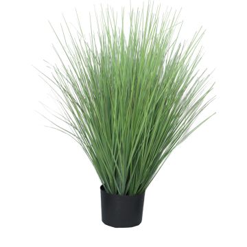 Tráva proso prutnaté YAMIN, zelená, 75cm