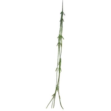 Deco věšák Rhipsalis MINYAN, zápich, zelený, 105cm