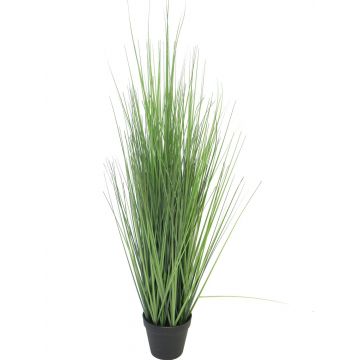 Okrasná tráva proso LIFANG v dekorativním květináči, zelená, 85cm