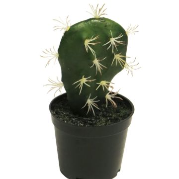 Umělý sloupovitý kaktus RUOFEI, zelený, 16cm