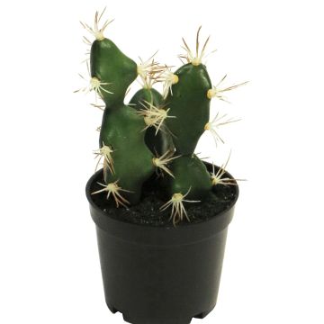 Umělý kaktus Euphorbia abyssinica ROLIN, zelený, 17cm