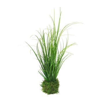 Dekorativní tráva dochan psárkovitý WEILIN na travnaté kouli, zelená, 35cm