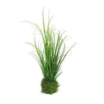 Dekorativní tráva dochan psárkovitý WEILIN na travnaté kouli, zelená, 25cm