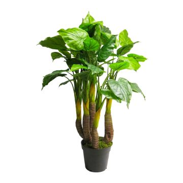 Umělá rostlina Anthurium JINGLEI, zelená, 120cm
