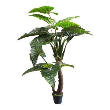 Umělá rostlina caladium FENYUE, zelená, 220cm