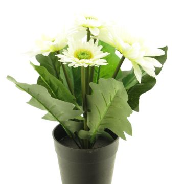 Umělá květina Gerbera XIAOOU v dekoračním květináči, krémová, 25cm