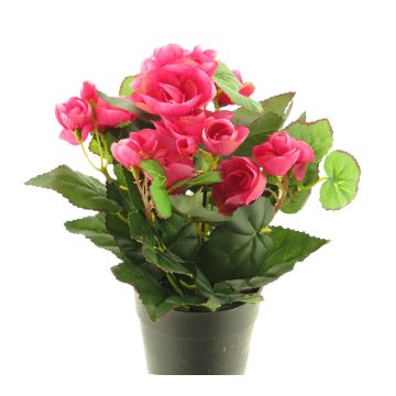Umělá květina begonie HETIAN, růžová, 25cm