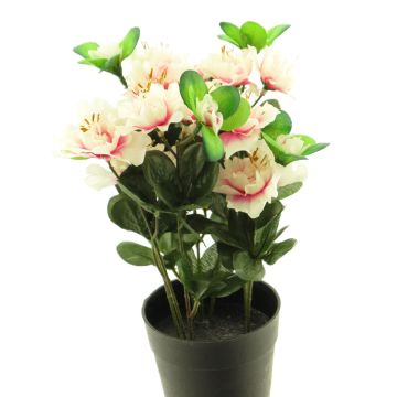 Umělá květina azalka JINGSHU, krémově růžová, 25cm