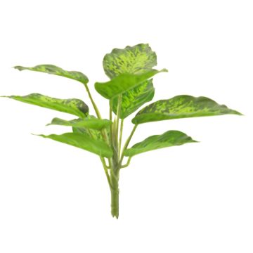 Dekorativní rostlina difenbachie XUMEI, zápich, zeleno-krémová, 25cm