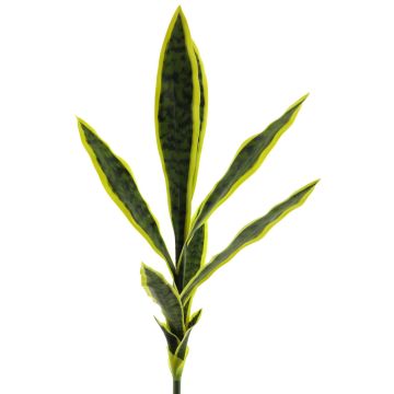 Dekorativní sukulent Sansevieria SUNLIN na zápichu, zelenožlutý, 70cm