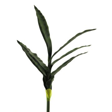 Dekorativní sukulent Sansevieria SUNLIN na zápichu, zelená, 60cm