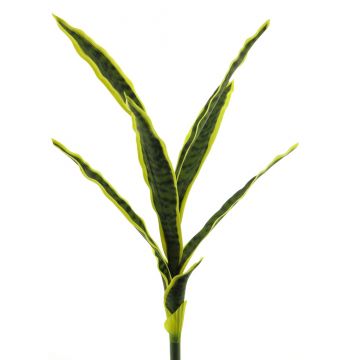 Dekorativní sukulent Sansevieria SUNLIN na zápichu, zelenožlutý, 60cm