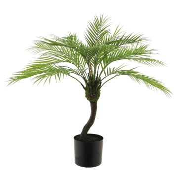 Umělá zlatoplodá palma ANTAN, 80cm