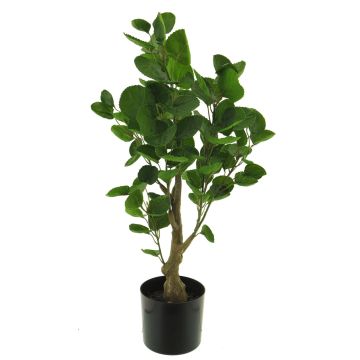 Plastová rostlina arálie zpeřená SHANG, umělý stonek, zelená, 65cm