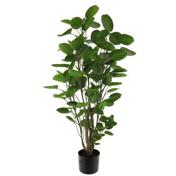 Plastová rostlina arálie zpeřená SHANG, umělé stonky, zelená, 105cm