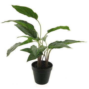 Plastová rostlina spicí panna XIPING, dekorační květináč, zelený, 50cm