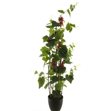Dekorativní rostlina vinná réva JIFAN, plody, dekorativní květináč, zeleno-fialová, 170cm